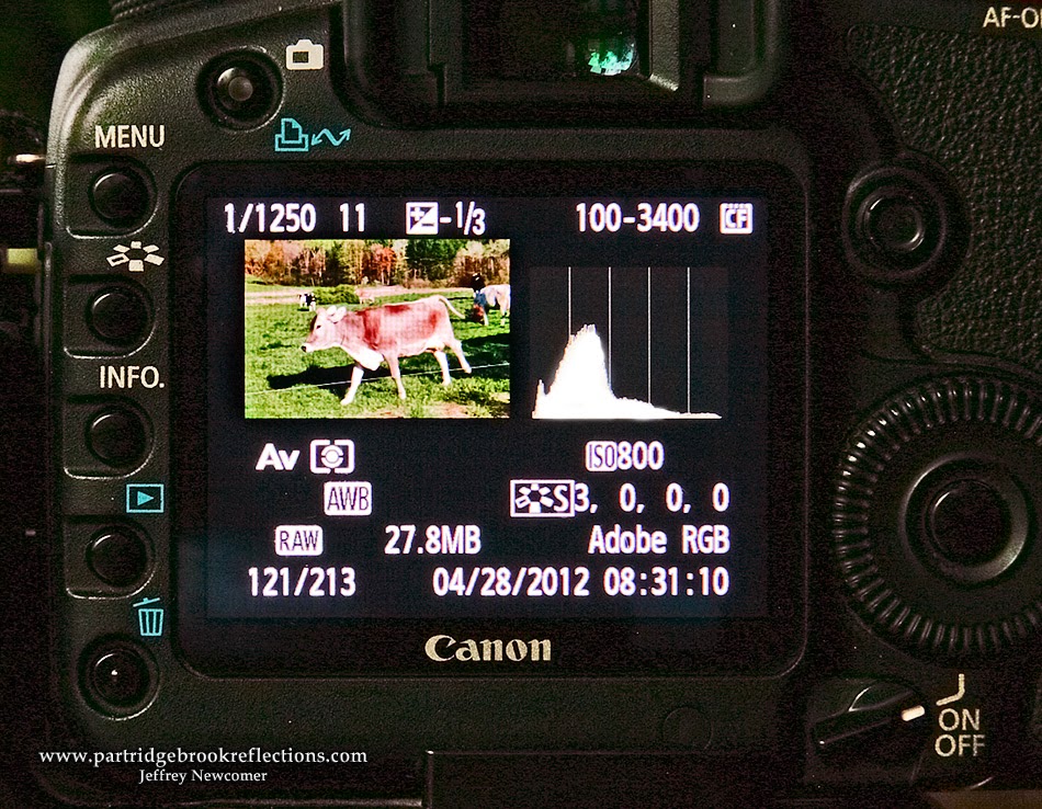 Getting it Right in the Digital Camera Exposure The Basics Part II